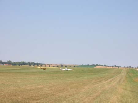 31